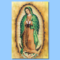 Bulletin-Lady Of Guadalupe