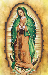 Bulletin-Lady Guadalupe