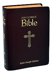 Bible-NCB, Burgundy, Imitation Leather