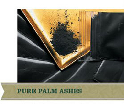 Ashes for Ash Wednesday