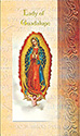 Folder-Lady Of Guadalupe