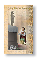 Folder-St Aloysius Gonzaga