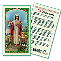 Holy Card-Good Shepherd-Nicene Creed
