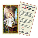 Holy Card-San Bernardo
