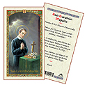 Holy Card-San Gerardo Majella